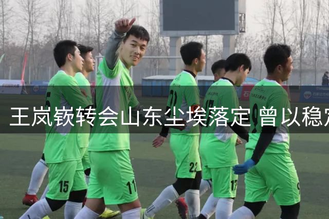 王岚嵚转会山东尘埃落定 曾以稳定表现助辽宁度过难关